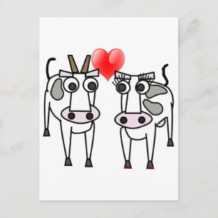 Cows in Love Postcard