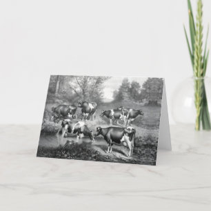 Cows in pasture holiday card