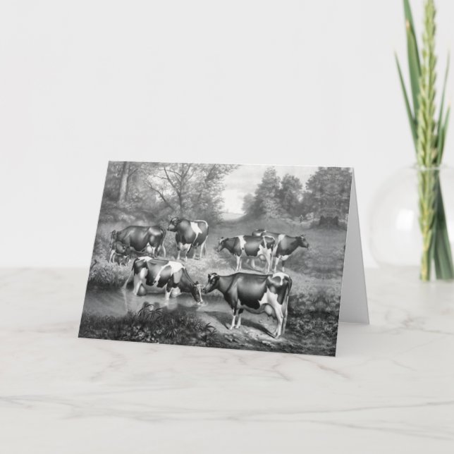 Cows in pasture holiday card (Front)