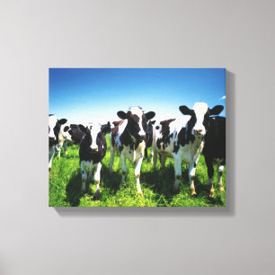 Cows in the field, Betsukai town, Hokkaido Canvas Print