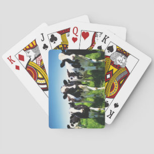 Cows in the field, Betsukai town, Hokkaido Playing Cards