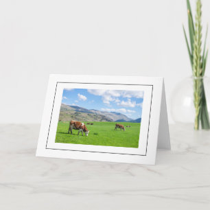 Cows in the Lake District greeting card