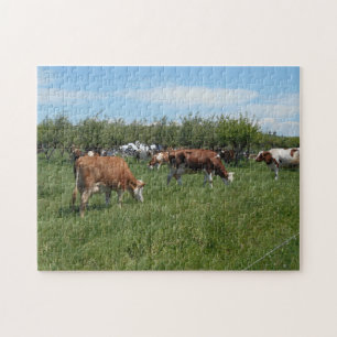 Cows In The Pasture Jigsaw Puzzle