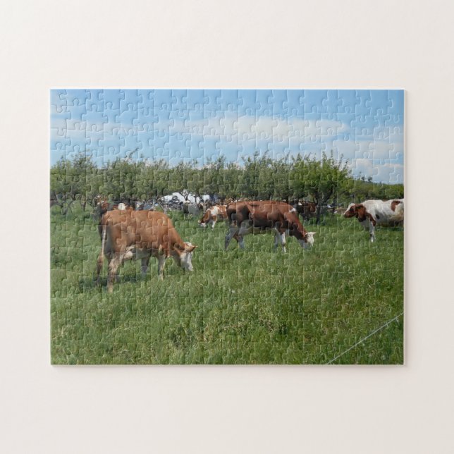 Cows In The Pasture Jigsaw Puzzle (Horizontal)