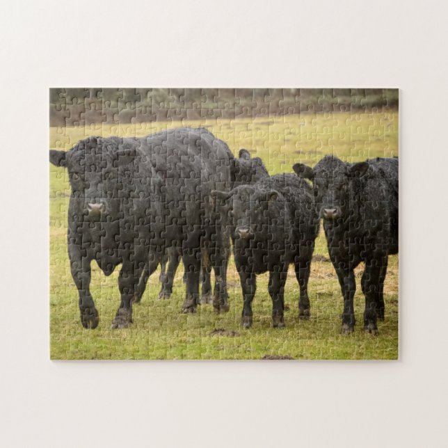 Cows in the rain jigsaw puzzle (Horizontal)