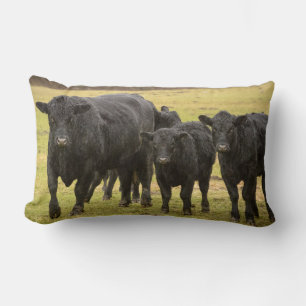 Cows in the rain lumbar cushion