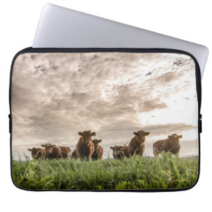 Cows Laptop Sleeve