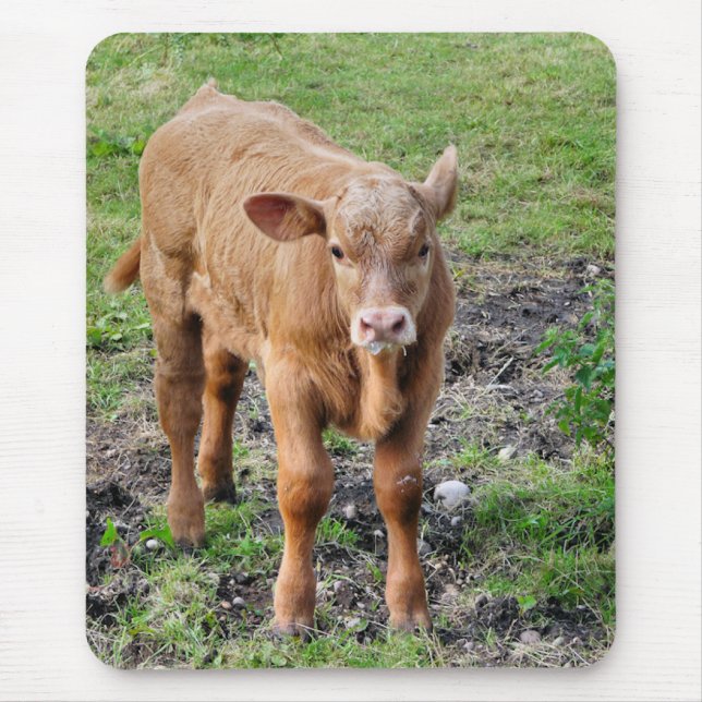 COWS MOUSE PAD (Front)