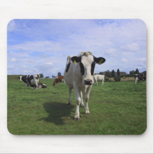 Cows Mouse Pad