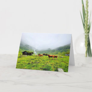 Cows of Norway, Blank Greeting Card