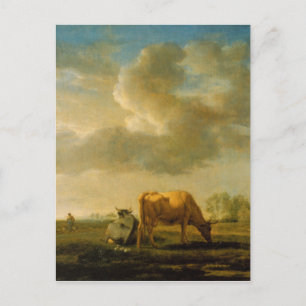Cows on a Meadow by Adriaen van de Velde Postcard