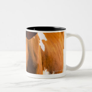 Cows on farm Two-Tone coffee mug