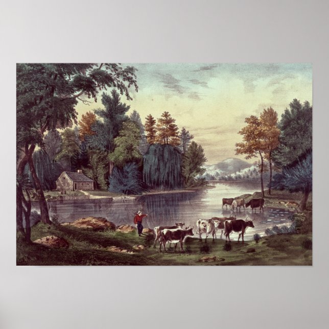 Cows on the Shore of a Lake Poster (Front)