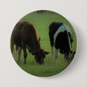 Cows photo Round Badge