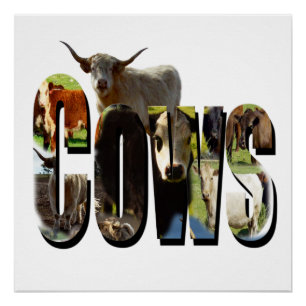 Cows Picture Logo With Cows,  Poster