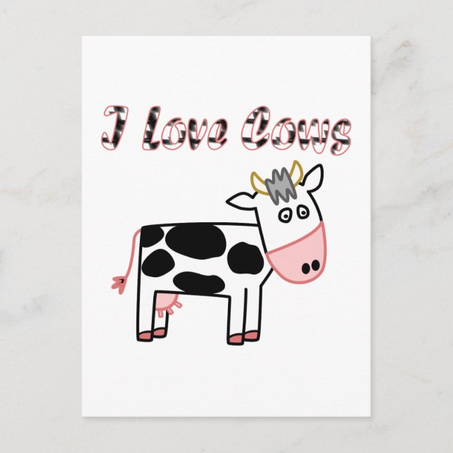 Cows Postcard (Front)