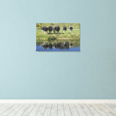 Cows reflected in canal, Henley, Taieri Plain, Canvas Print (Insitu(Wood Floor))