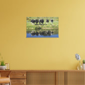 Cows reflected in canal, Henley, Taieri Plain, Canvas Print (Insitu(LivingRoom))