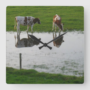 Cows Reflections Clock