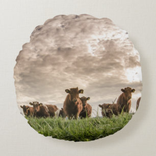 Cows Round Cushion