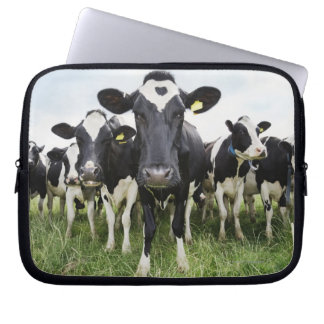 Cows standing in a row looking at camera laptop sleeve