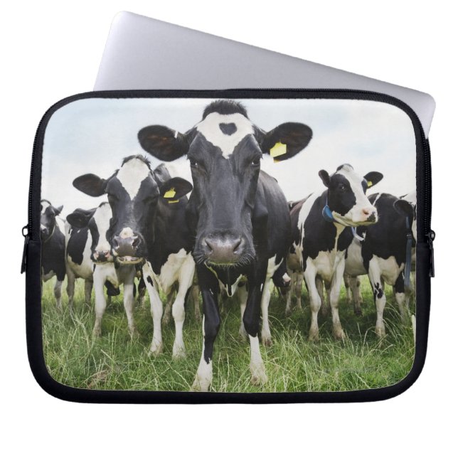 Cows standing in a row looking at camera laptop sleeve (Front)