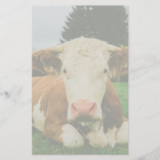 Cows Stationery