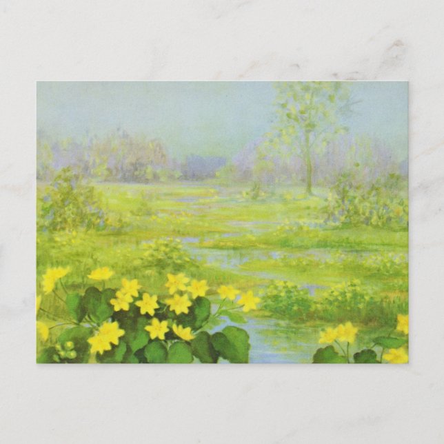 Cowslip by Cargill, 1937 Postcard (Front)