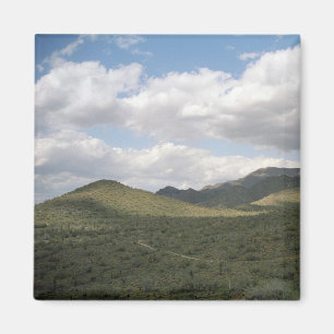 Cowyboy Skyline Desert Refrigerator Magnet