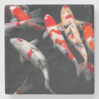 Coy Fish