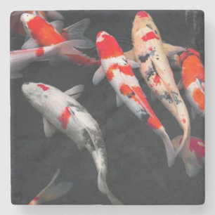 Coy Fish Stone Coaster
