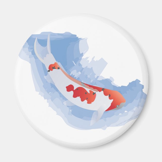 Coy Koi (Digital) Magnet (Front)