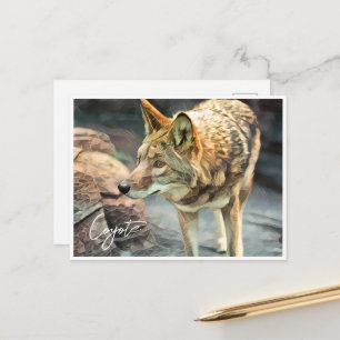 Coyote ポストカード postcard