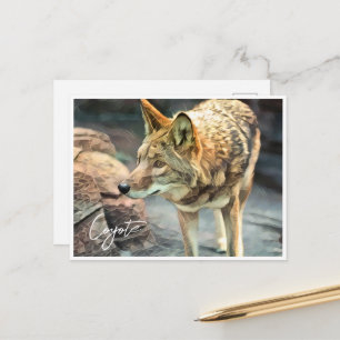 Coyote ポストカード postcard