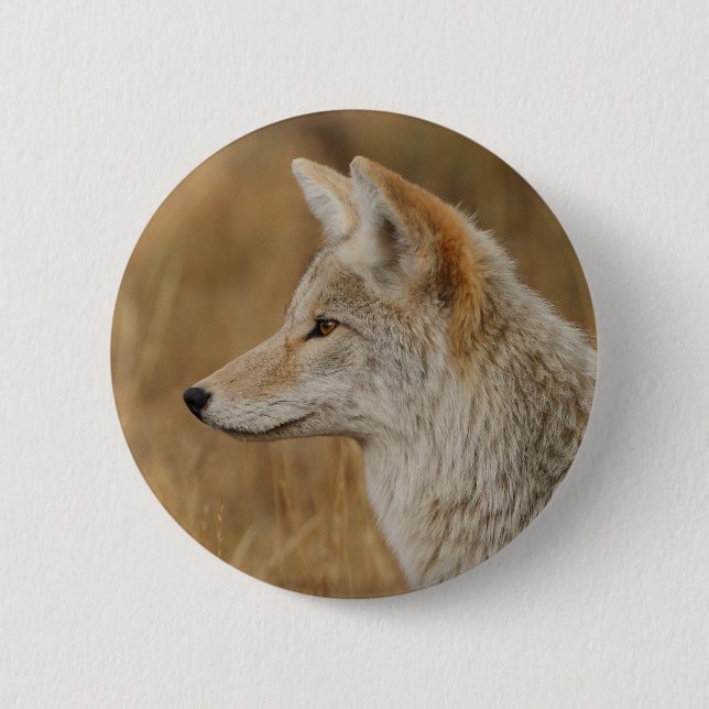 coyote 6 cm round badge (Front)