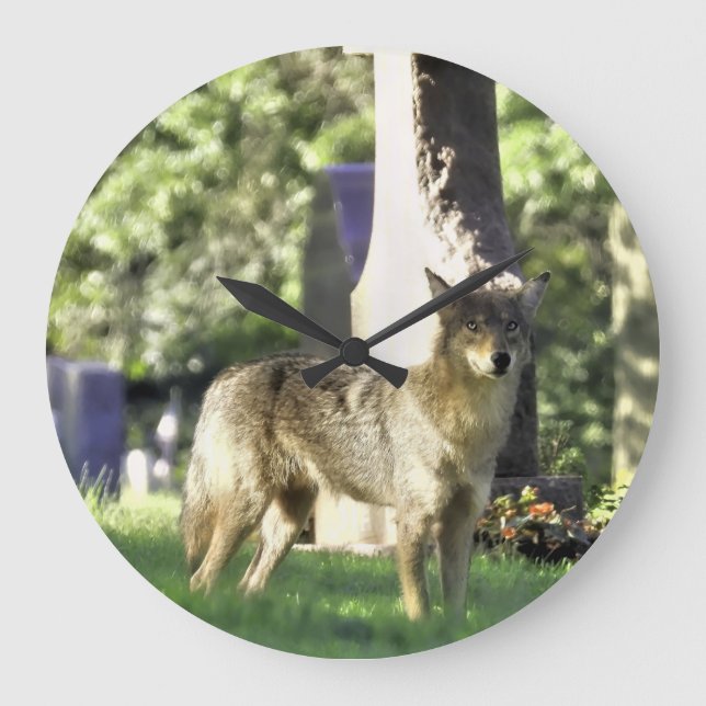 Coyote at the cemetery large clock (Front)