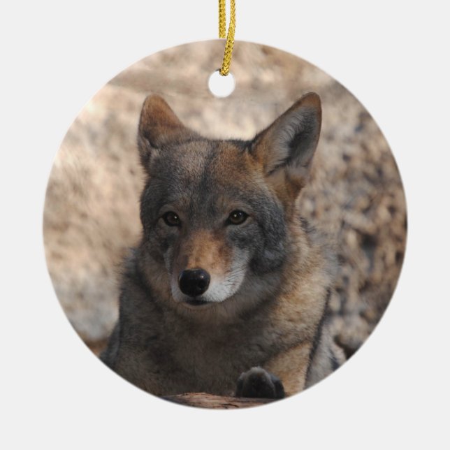 Coyote Beautiful Ceramic Tree Decoration (Front)