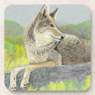 Coyote Beverage Coaster