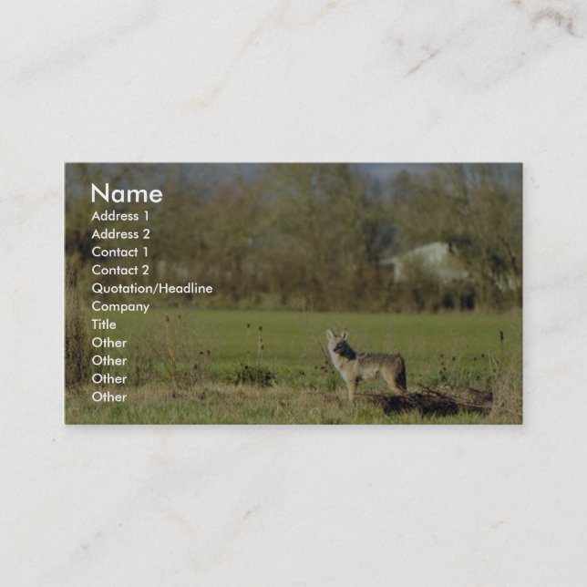 Coyote Business Card (Front)