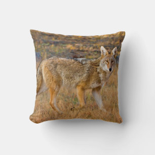 Coyote (Canis Latrans) Hunting Cushion