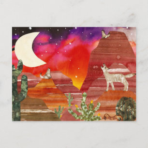 Coyote Canyon Night Songs Postcard