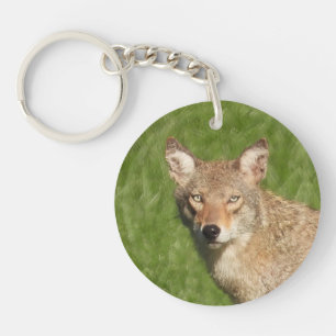 Coyote close up  key ring