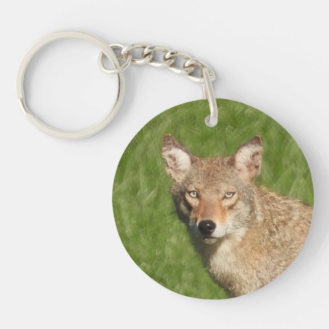 Coyote close up  key ring (Front)