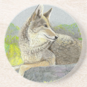 Coyote Coaster
