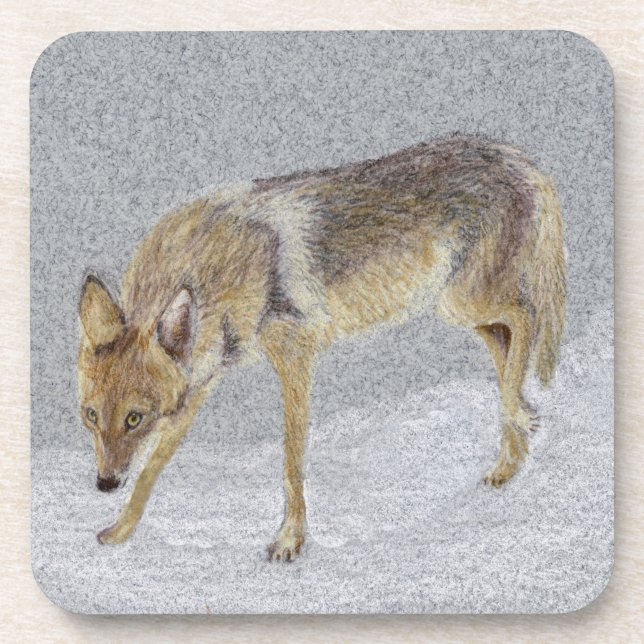 Coyote Coaster (Front)