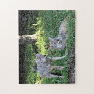 Coyote couple jigsaw puzzle