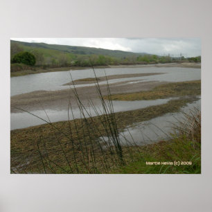 Coyote Creek Rainy Day Poster