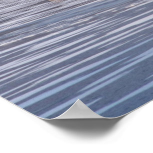 Coyote Crossing Poster