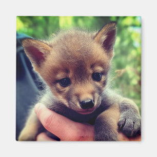 Coyote Cub Magnet