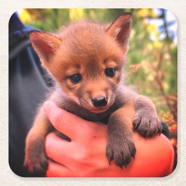 Coyote Cub  Square Paper Coaster (Front)